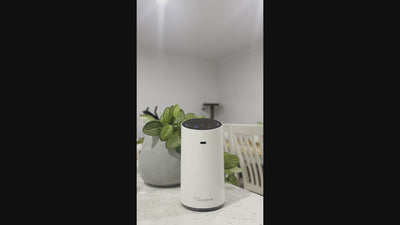 Sleep-Zone™ -  Waterless Diffuser